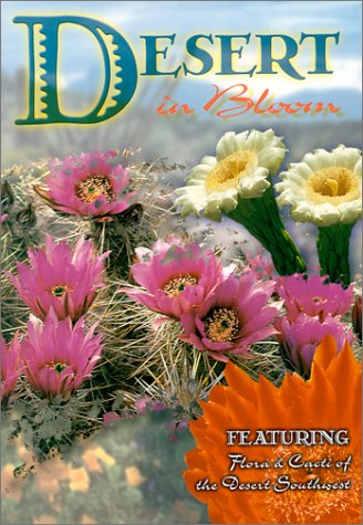 Stock image for Desert in Bloom : In Pictures for sale by Wonder Book