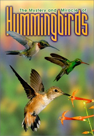 9781562744212: Mystery and Miracle of Hummingbirds