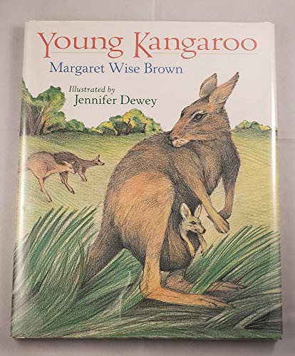 Young Kangaroo (9781562824099) by Brown, Margaret Wise
