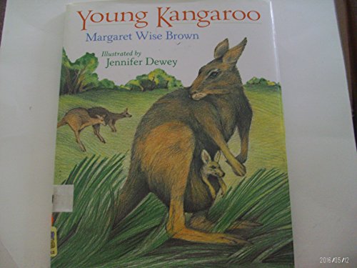 Beispielbild fr Young Kangaroo zum Verkauf von ThriftBooks-Atlanta