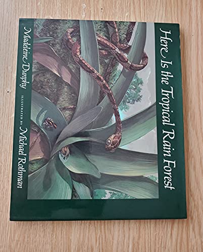 Beispielbild fr Here Is the Tropical Rainforest zum Verkauf von Wonder Book