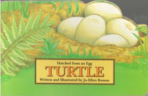 Turtle (Hatched from an Egg Series) (9781562932190) by Bosson, Jo-Ellen