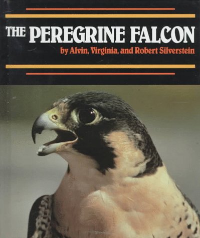 9781562944179: The Peregrine Falcon