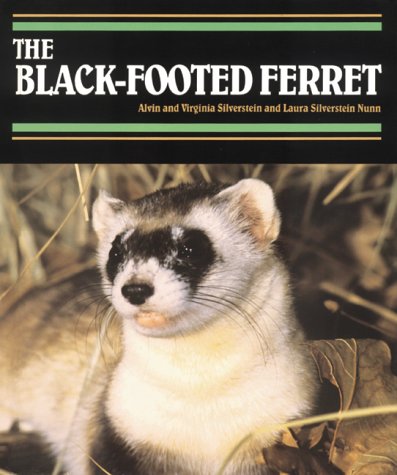 9781562945527: The Black-Footed Ferret