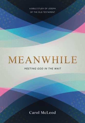 Stock image for Meanwhile: Meeting God in the Wait for sale by Books From California