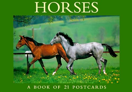 Stock image for Horses: A Book of 30 Postcards for sale by HPB-Ruby