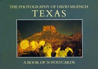 Beispielbild fr Texas Postcards zum Verkauf von ThriftBooks-Dallas