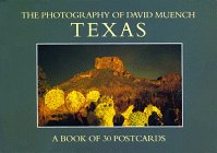 Stock image for Texas Postcards for sale by ThriftBooks-Dallas