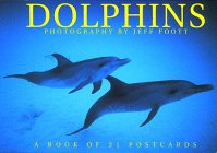 Beispielbild fr Dolphins Postcard Book zum Verkauf von ThriftBooks-Dallas