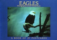 Stock image for Postcard-Eagles for sale by Better World Books: West