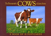 Stock image for Cows for sale by ThriftBooks-Atlanta