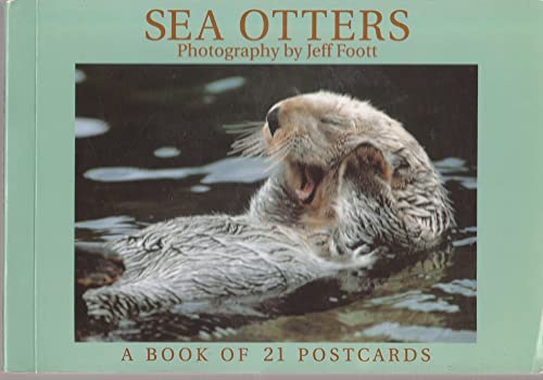 9781563137990: Sea Otters