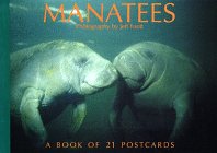 Stock image for Manatees for sale by ThriftBooks-Dallas