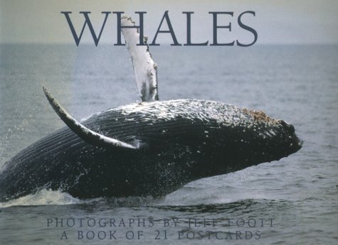 Beispielbild fr Whales Postcard Book zum Verkauf von Wonder Book