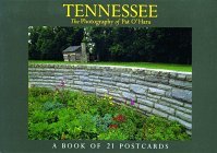 Stock image for Tennessee for sale by ThriftBooks-Atlanta
