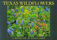 Beispielbild fr Postcard-Texas Wildflowers zum Verkauf von Half Price Books Inc.