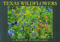 9781563138546: Postcard-Texas Wildflowers