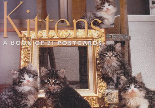 Beispielbild fr Kitten : Postcard Book zum Verkauf von Better World Books