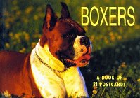 Beispielbild fr Boxers zum Verkauf von Wonder Book