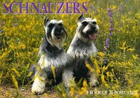 9781563139178: Schnauzers (For the Love of Schnauzers Postcard Book)