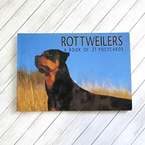 Stock image for Rottweilers : Postcard Book for sale by Better World Books