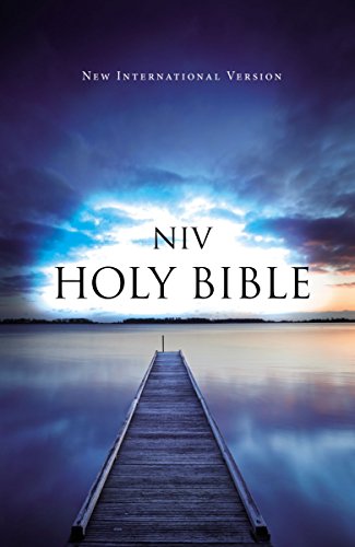 9781563201141: Holy Bible: New International Version, Blue Pier