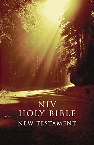 NIV, Outreach New Testament, Paperback, Brown - Zondervan