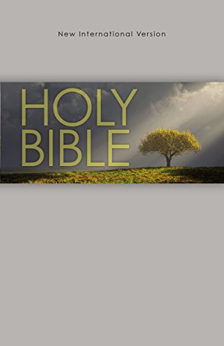 Stock image for NIV, Outreach Bible, Paperback, Gray for sale by R Bookmark