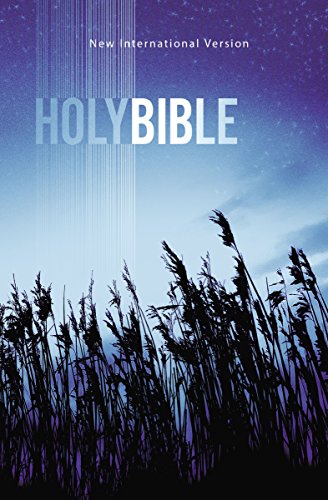 Stock image for NIV, Outreach Bible, Paperback, Blue for sale by Your Online Bookstore