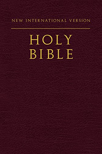 Stock image for NIV, Holy Bible, Compact, Paperback, Burgundy for sale by Wonder Book