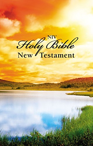 Stock image for New Testament: New International Version, Scenic for sale by SecondSale