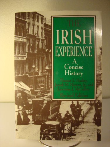 Stock image for The Irish Experience : A Concise History for sale by Better World Books