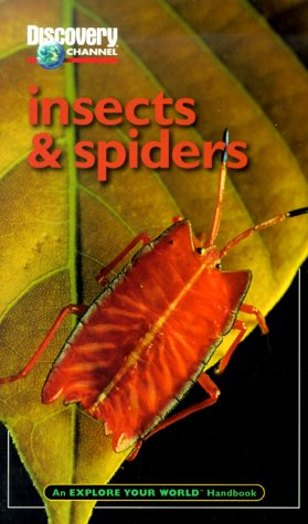 Stock image for Discovery Channel: Insects & Spiders: An Explore Your World Handbook for sale by Wonder Book