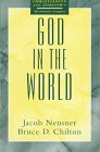 Stock image for God in the World (Christianity and Judaism) for sale by Bookmans