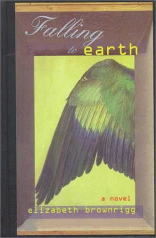 9781563411014: Falling to Earth: A Novel