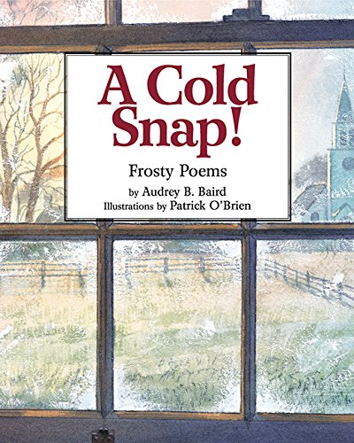 Beispielbild fr A Cold Snap! : Frosty Poems zum Verkauf von Better World Books