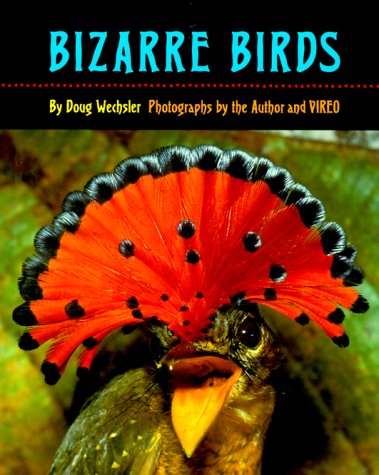 Stock image for Bizarre Birds for sale by Black and Read Books, Music & Games