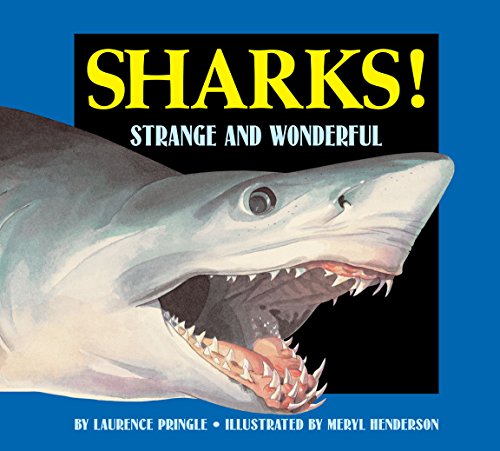 Beispielbild fr Sharks! (Strange and Wonderful) zum Verkauf von Hafa Adai Books