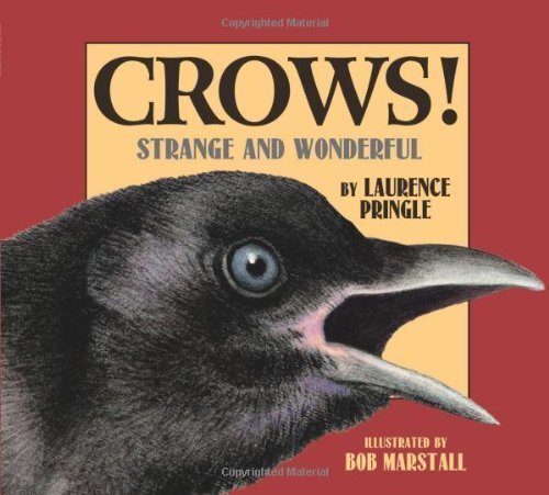 Beispielbild fr Crows! : Strange and Wonderful zum Verkauf von Better World Books