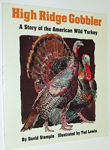 Imagen de archivo de High Ridge Gobbler: A Story of the American Wild Turkey a la venta por SecondSale