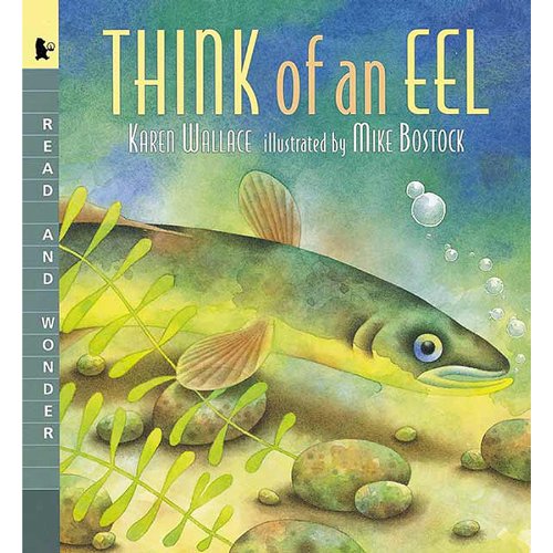 Imagen de archivo de Think of an Eel a la venta por ThriftBooks-Atlanta
