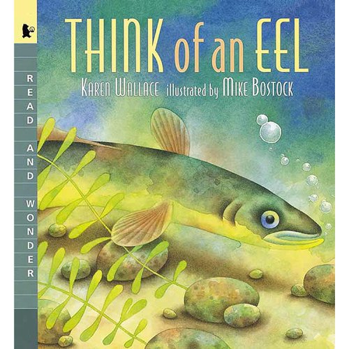 9781564021809: Think of an Eel (Read & wonder)