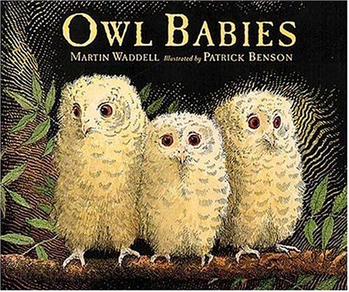 9781564029652: Owl Babies