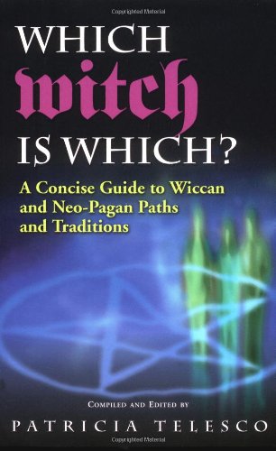 Stock image for Which Witch Is Which?: A Concise Guide To Wiccan And Neo-pagan Paths And Traditions for sale by Front Cover Books