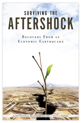 Imagen de archivo de Surviving The Aftershock - Recovery From an Economic Earthquake a la venta por SecondSale