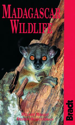 Stock image for Madagascar Wildlife for sale by Once Upon A Time Books