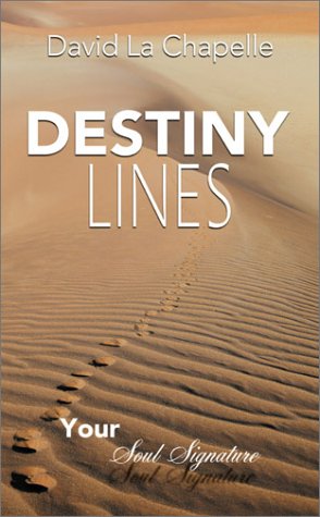 Stock image for Destiny Lines: Your Soul Signature for sale by The Yard Sale Store