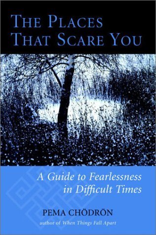 Beispielbild fr The Places That Scare You: A Guide to Fearlessness in Difficult Times. zum Verkauf von Black Cat Hill Books