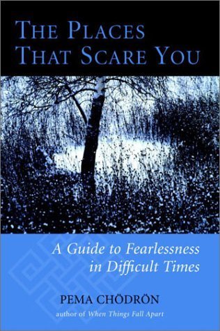 Imagen de archivo de The Places That Scare You: A Guide to Fearlessness in Difficult Times. a la venta por Black Cat Hill Books