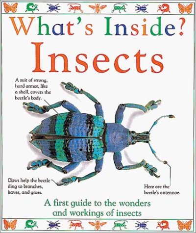 9781564580030: Insects (What's Inside?)